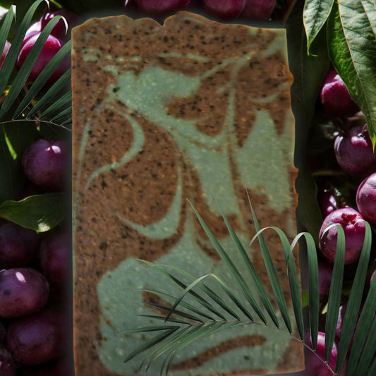 Wild Elderberry & Fern